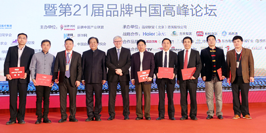 2015品牌中国年度人物颁奖盛典嘉宾合影